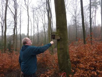 001-2012-03-01-Reinigung-Nistkaesten.JPG