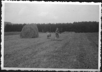 004-Landwirtschaft.jpg