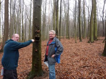 019-2012-03-01-Reinigung-Nistkaesten.JPG