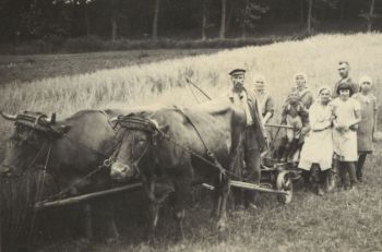 1938 Ernte-am-Hardenberg-ok.jpg