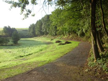002-2008-Wanderweg-zum-Weiher.jpg
