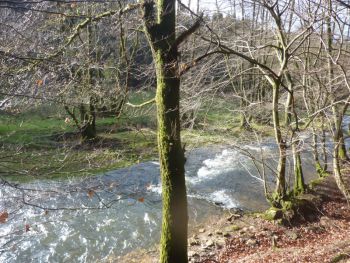 004-Wanderung an der Wied bei Hoechstenbach.jpg