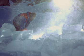 024-Alaska-4-Sturmzerstoerung.jpg