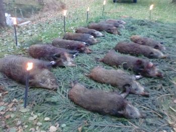02_Drueckjagd-2012.jpg