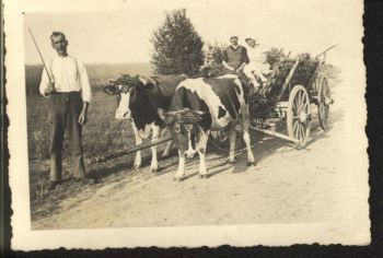 13-Ernte-19...jpg