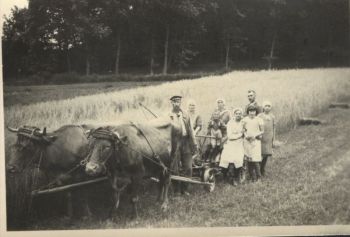 14-Ernte-am-Hardenberg-1938.jpg
