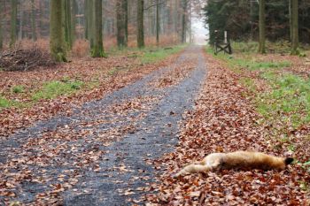 2014-11-Drueckjagd_16.jpg