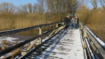 016-2018-02-Wanderung-Februar-Dreifelderweiher.jpg