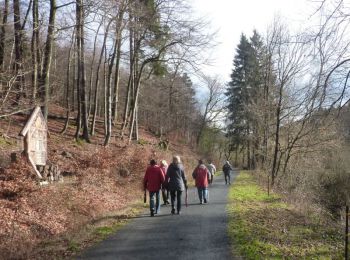 001-Wanderung an der Wied bei Hoechstenbach.jpg