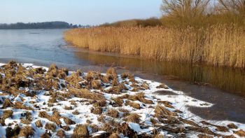004-2018-02-Wanderung-Februar-Dreifelderweiher.jpg