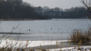 010-2018-02-Wanderung-Februar-Dreifelderweiher.jpg