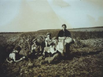 1942-Erntehelfer-bei Fam.-Thiel.jpg