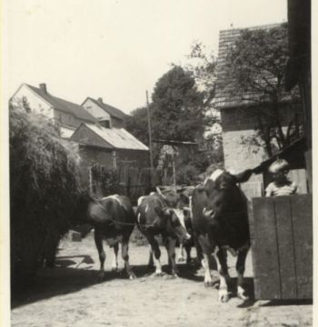 1962-Erich-Landwirtschaft.jpg