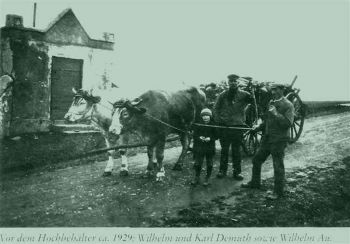 010-Muehsame-Ernte.jpg