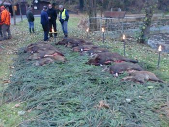01_Drueckjagd-2012.jpg