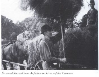 1960-Farrenau-Heuernte.jpg