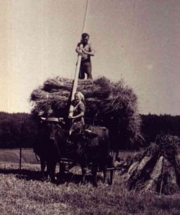 026-Heuernte-Erna-u-Emil-Thiel.jpg