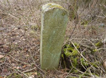 002-Grenzstein-Hundsgalgen-60-KP.jpg