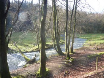 003-Wanderung an der Wied bei Hoechstenbach.jpg