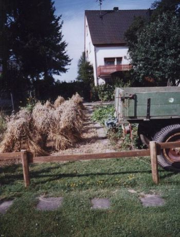 006-das-Feld-ist-abgearbeitet.jpg