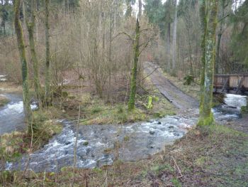011-Wanderung an der Wied bei Hoechstenbach.jpg