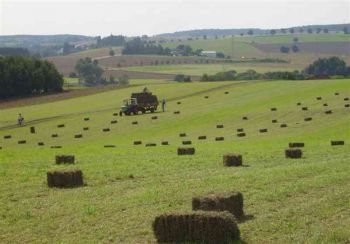 020-Heuernte-2008-in-Hanwerth.JPG