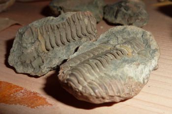 1012-Mineraliensammlung-Schrank.jpg