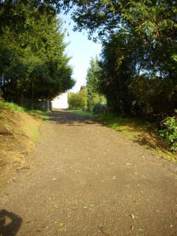 001-2008-Wanderweg-zum-Weiher.jpg