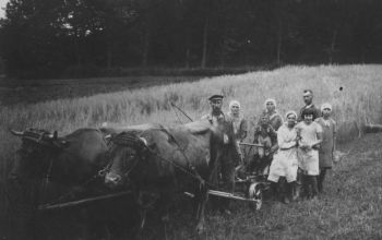 003-Landwirtschaft-1933-b.jpg