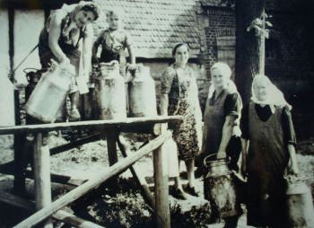 1952- Milchbock in Hanwerth.jpg