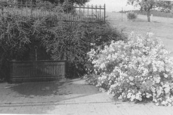 1995-Dorfbrunnen-Hanwerth.jpg