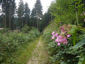 Wanderung Weltende-029.jpg