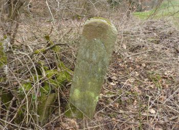 002-Grenzstein-Hundsgalgen-60-HN.jpg