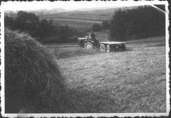 1960-Landwirtschaft-a.jpg