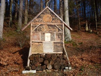 002-Wanderung an der Wied bei Hoechstenbach.jpg