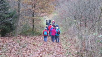 009-2017-Wanderung im November.jpg