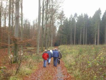 010-Waldbegang_Nov-2009.jpg