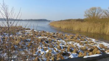 017-2018-02-Wanderung-Februar-Dreifelderweiher.jpg