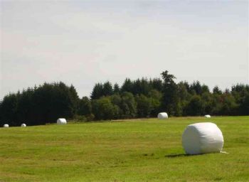 024-Heuernte-2008.JPG