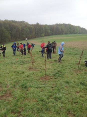 2015-Eichen-pflanzen_012.jpg