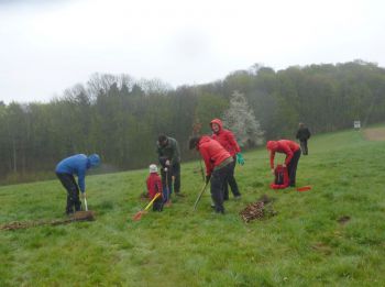 2015-Eichen-pflanzen_030.jpg