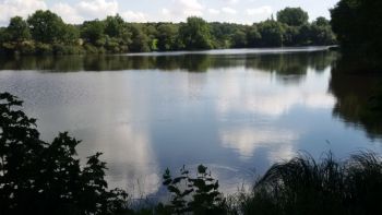 2017-Wanderung im August-Postweiher (1).jpg