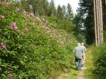 Wanderung Weltende-027.jpg