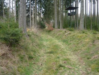 002-Alte-Salzstrasse-bei-Grenzstein-61.jpg