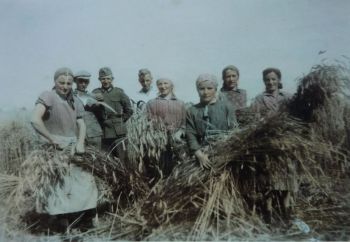 014-1943-Erntehelferin-Mudenbach.jpg