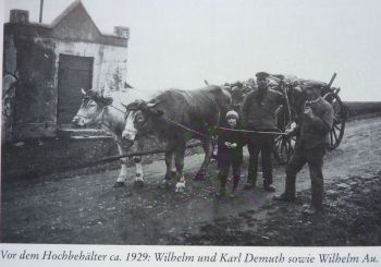 1929-Rummelernte.jpg