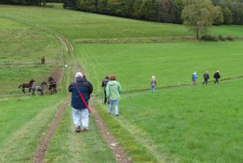 003-Wanderung Okt. 2017.jpg