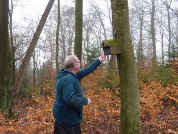 005-2012-03-01-Reinigung-Nistkaesten.JPG