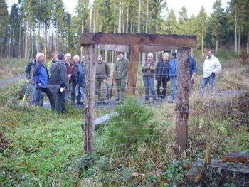 008-Waldbegang_Nov-2009.jpg
