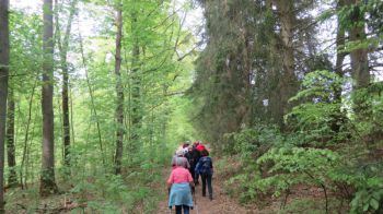 2018_05-Wanderung im Mai_06.jpg